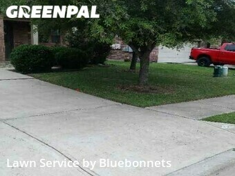 Yard Cutting nearby Round Rock, TX, 