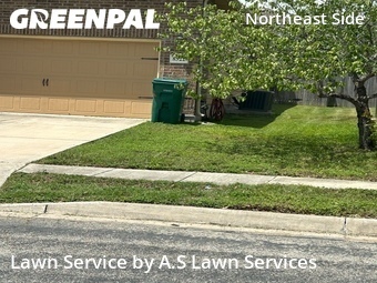 Grass Cut nearby Converse, TX, 
