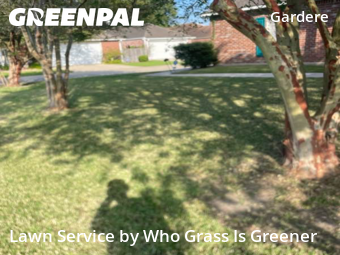 Grass Cut nearby Baton Rouge, LA, 