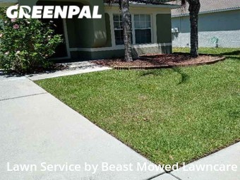 Lawn Cut nearby Wesley Chapel, FL, 