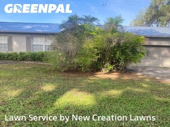 Lawn Mow nearby Brandon, FL, 