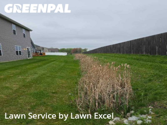 Grass Cut nearby Indianapolis, IN, 