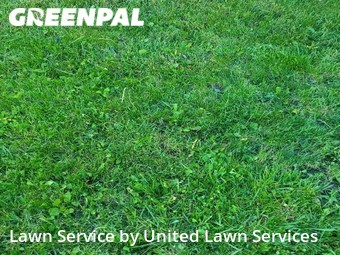 Lawn Cutting nearby Chicago, IL, 