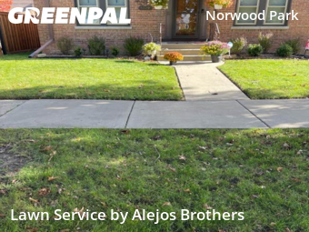Lawn Care Servicein Chicago,60631,Lawn Mowing Service by Alejos Brothers, work completed in Feb , 2026