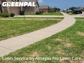 Yard Cutting nearby Corpus Christi, TX, 