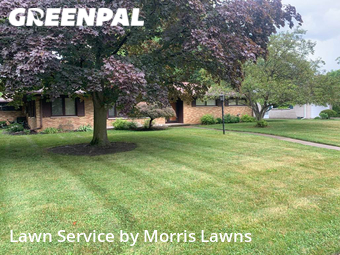 Grass Cut nearby Toledo, OH, 