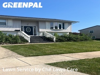 Lawn Care Service nearby Romeoville, IL, 