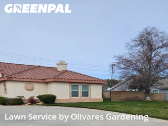 Landscape Design In Palmdale,93551,Landscaping Installation by Olivares Gardening , work completed in Feb , 2026