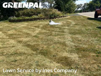 Lawn Cutting nearby Downers Grove, IL, 