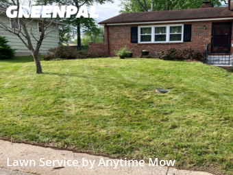Grass Cutting nearby Independence, MO, 