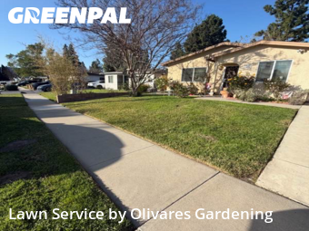 Lawn Mowing Service in Simi Valley, 93063, Lawn Care Service by Olivares Gardening , work completed in 30 Jan, 2026 