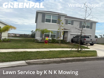 Grass Cut nearby Wesley Chapel, FL, 