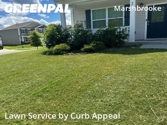 Lawn Maintenance nearby Matthews, NC, 