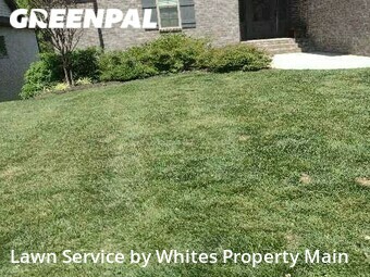 Lawn Care Service nearby Tennessee, TN, 