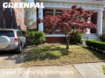Lawn Maintenance nearby Norfolk, VA, 