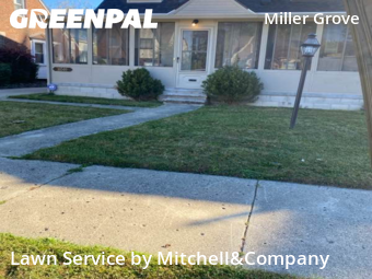 Lawn Care Service nearby Detroit, MI, 