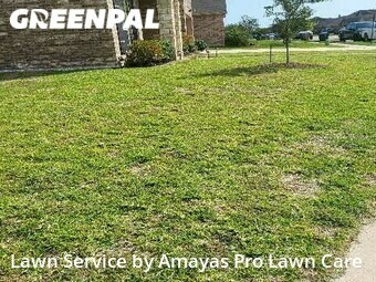 Grass Cut nearby Corpus Christi, TX, 