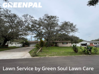 Grass Cutting nearby Temple Terrace, FL, 