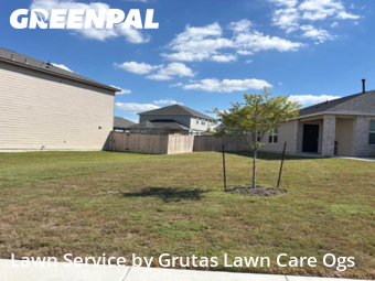 Grass Services in Marion, 78124, Turf Services by Grutas Lawn Care Ogs, work completed in Nov , 2025