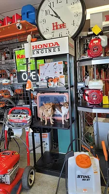 Hesperia Outdoor Power Equipment Photo 13