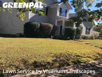 Lawn Carein Huntersville,28078,Grass Cut by Vivarium Landscapes, work completed in Dec , 2025