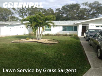 Grass Cuttingin Largo,33774,Lawn Cut by Grass Sargent, work completed in Dec , 2025
