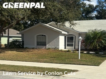 Lawn Mow nearby Palmetto, FL, 