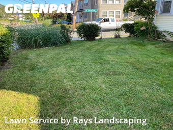 Lawn Mowing Service nearby Watertown, MA, 