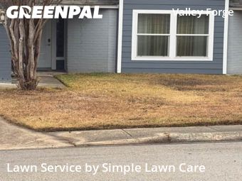 Grass Cutting nearby San Antonio, TX, 