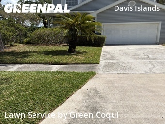 Lawn Cut nearby Tampa, FL, 