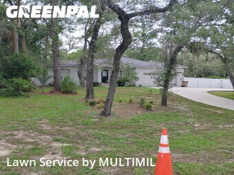 Lawn Cut nearby Temple Terrace, FL, 