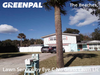 Lawn Cutin Jacksonville Beach,32250,Lawn Cut by Eye C No Grass Lawn Llc, work completed in Jan , 2026