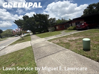 Grass Cut nearby Orlando, FL, 