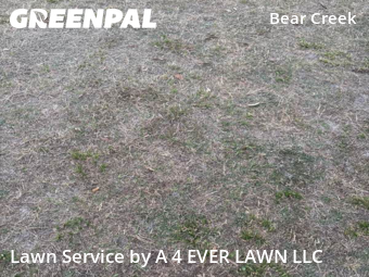 Yard Mowing nearby New Port Richey, FL, 