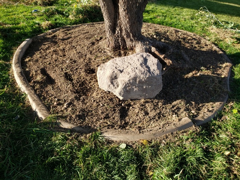 local-lawn-and-landscape-maintenance-services-near-me-in-St George-UT