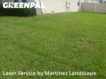 Lawn Carein Ocoee,34761,Grass Cutting by Martinez Landscape, work completed in Nov , 2025