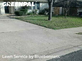 Lawn Care nearby Austin, TX, 