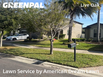 Grass Cut nearby Tampa, FL, 