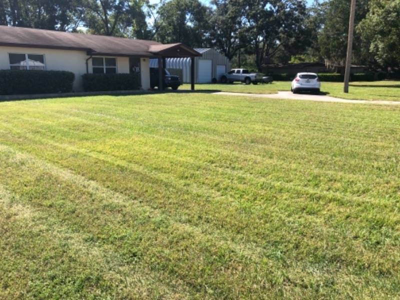 Yard mowing company in Mulberry, FL, 33860