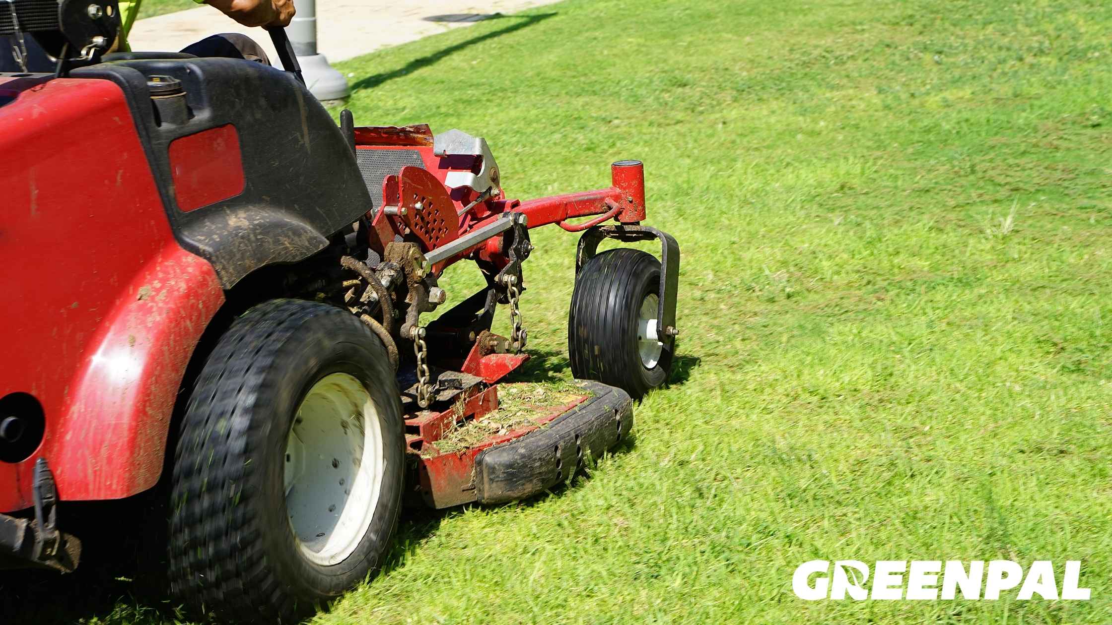 How Often Do Americans Mow Their Lawns? (Data From 50,000+ Appointments) By Greenpal