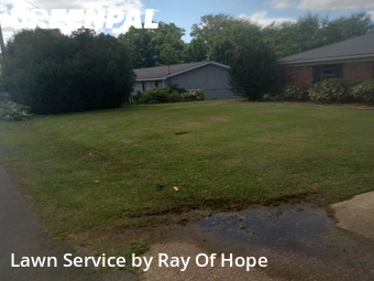 Lawn Cut nearby Tuscaloosa, AL, 