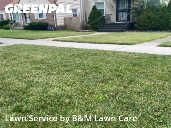 Yard Upkeep in Dolton, 60419, Lawn Care by B&M Lawn Care, work completed in Nov , 2025