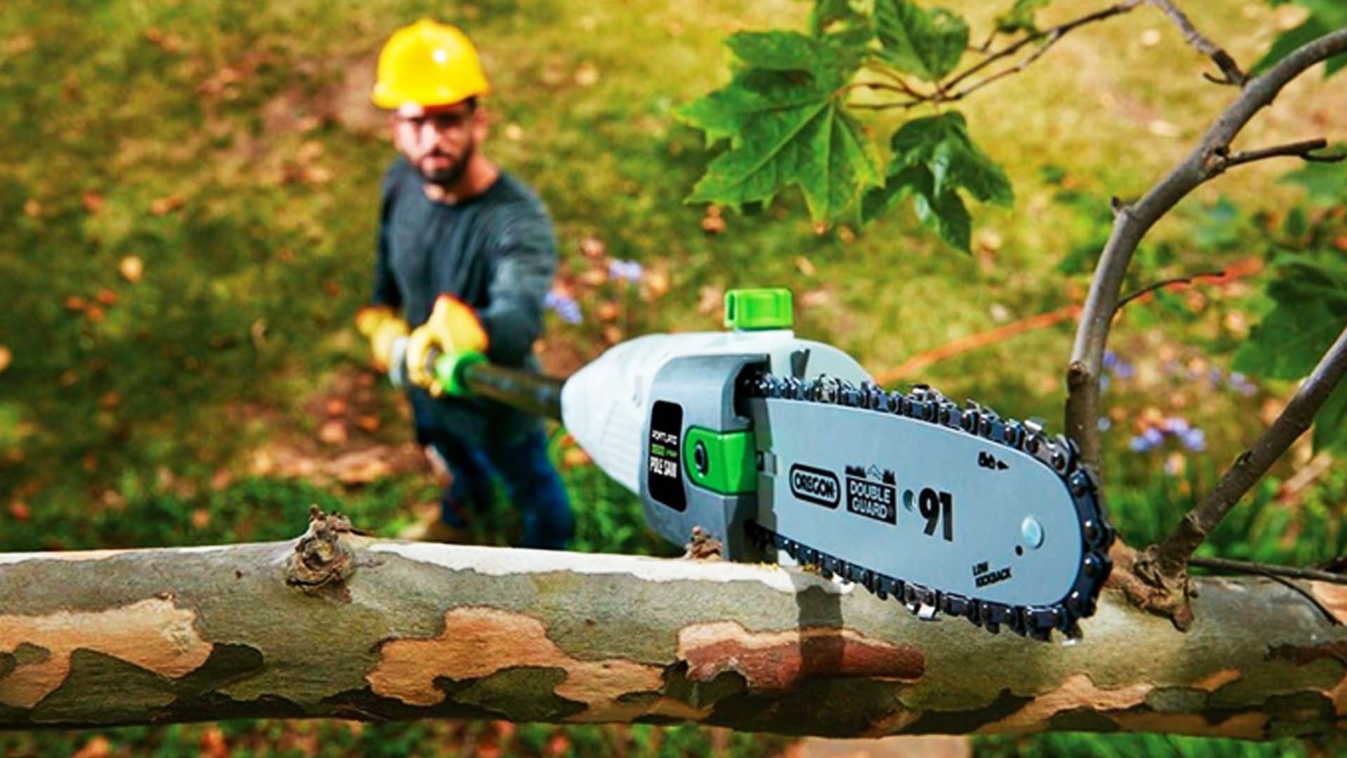 290 Homeowners Vote on the Best Pole Saws of 2024 By Greenpal