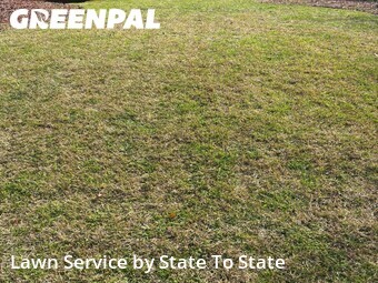 Yard Cutting nearby Woodstock, GA, 