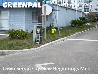 Lawn Mowingin Tampa,33606,Lawn Maintenance by New Begininngs Mc C, work completed in Jun , 2026