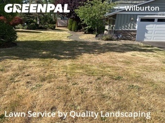 Lawn Cut nearby Bellevue, WA, 