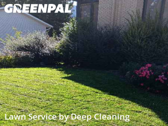 Grass Cut nearby Sandy, UT, 