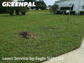 Grass Cutting nearby Ocala, FL, 