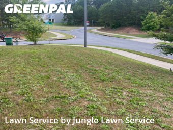 Lawn Mowing nearby Athens, GA, 