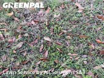 Lawn Care Service nearby Poinciana, FL, 